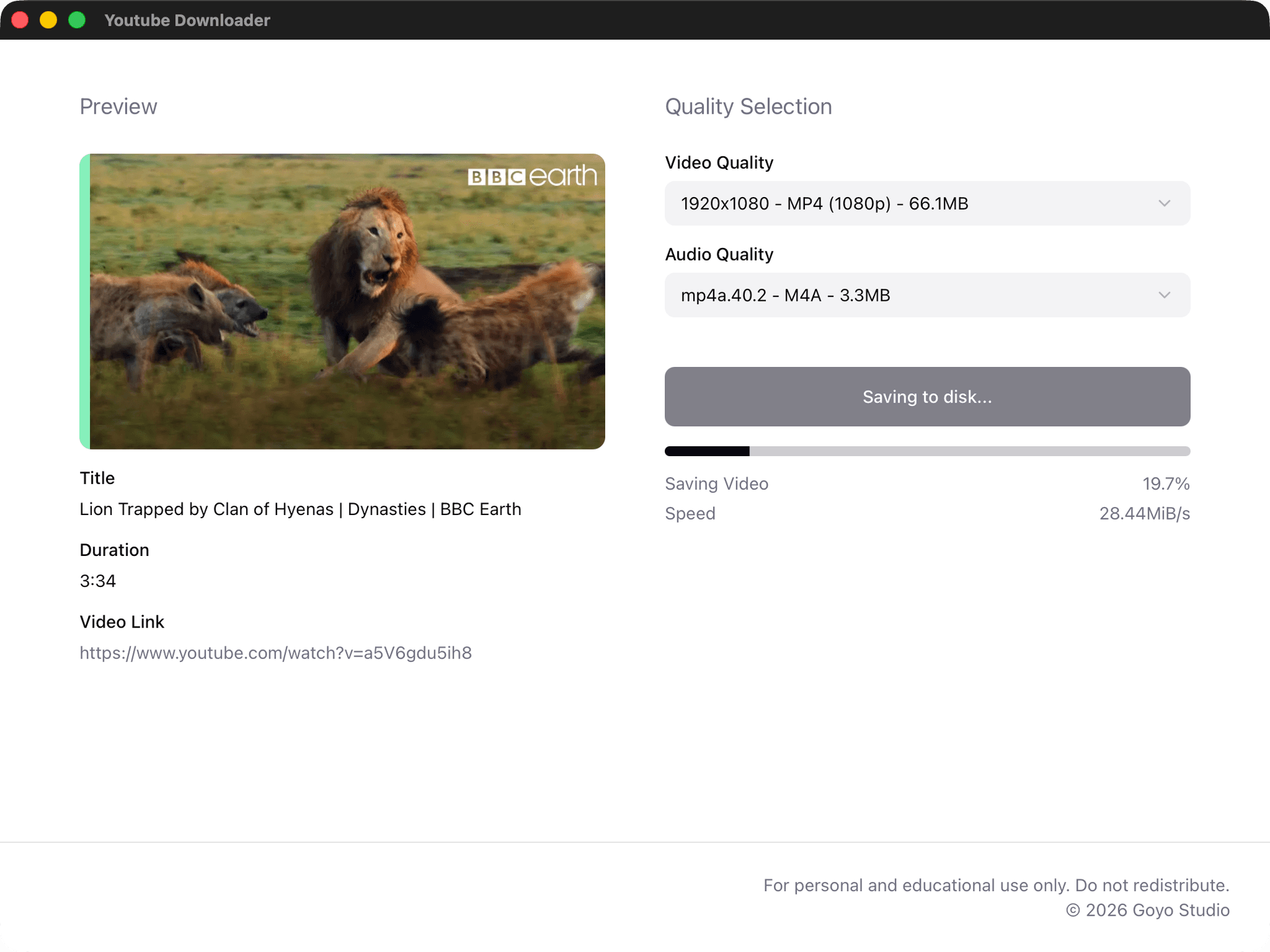 Simple YouTube Downloader screenshot